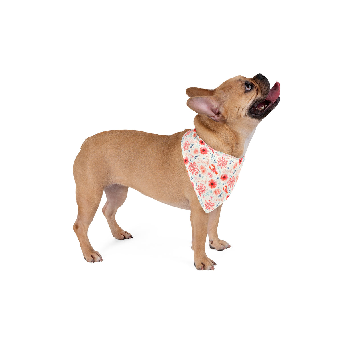 Poppy On Cape Print Dog Bandana