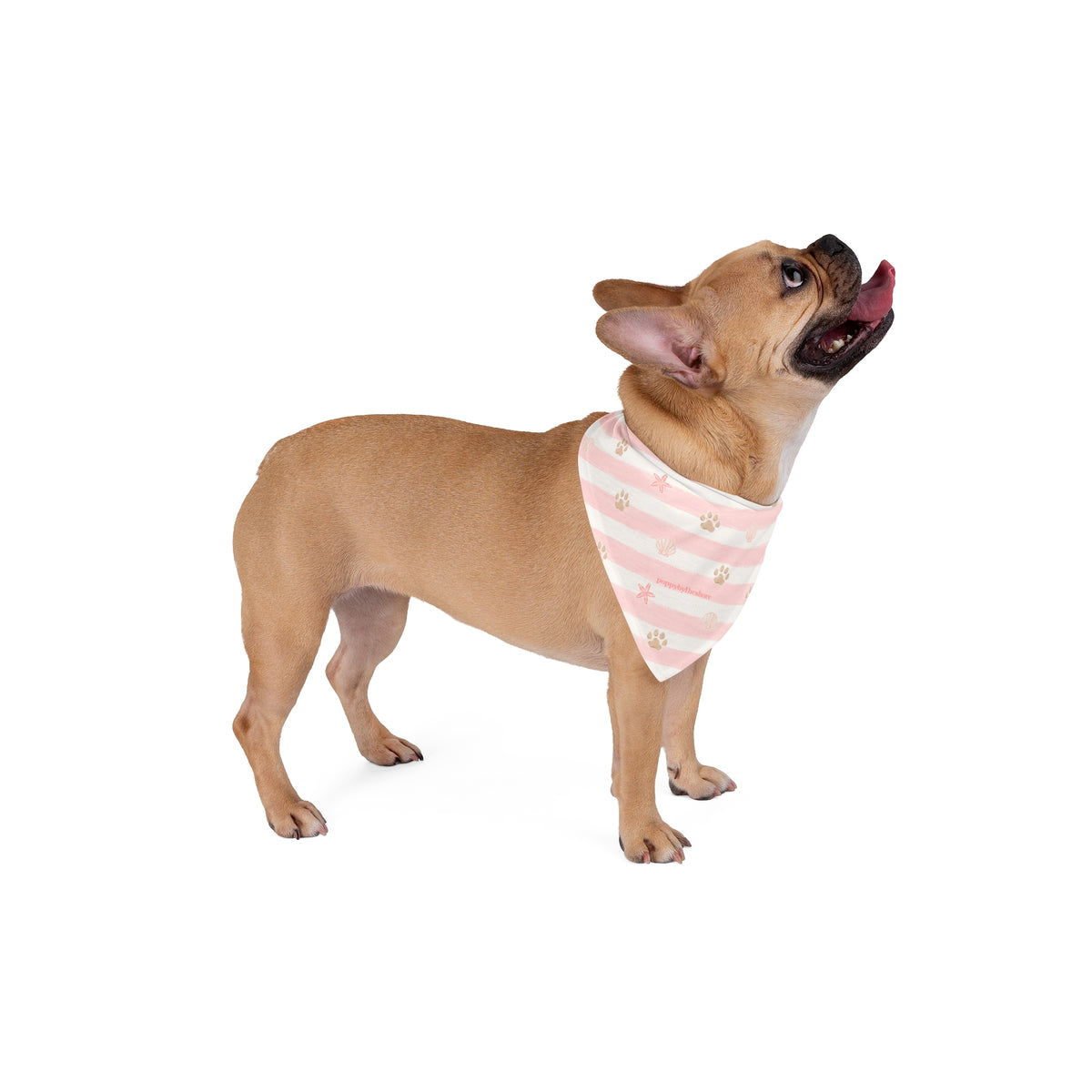 Poppy Paws & Stripes Bandana - Pink