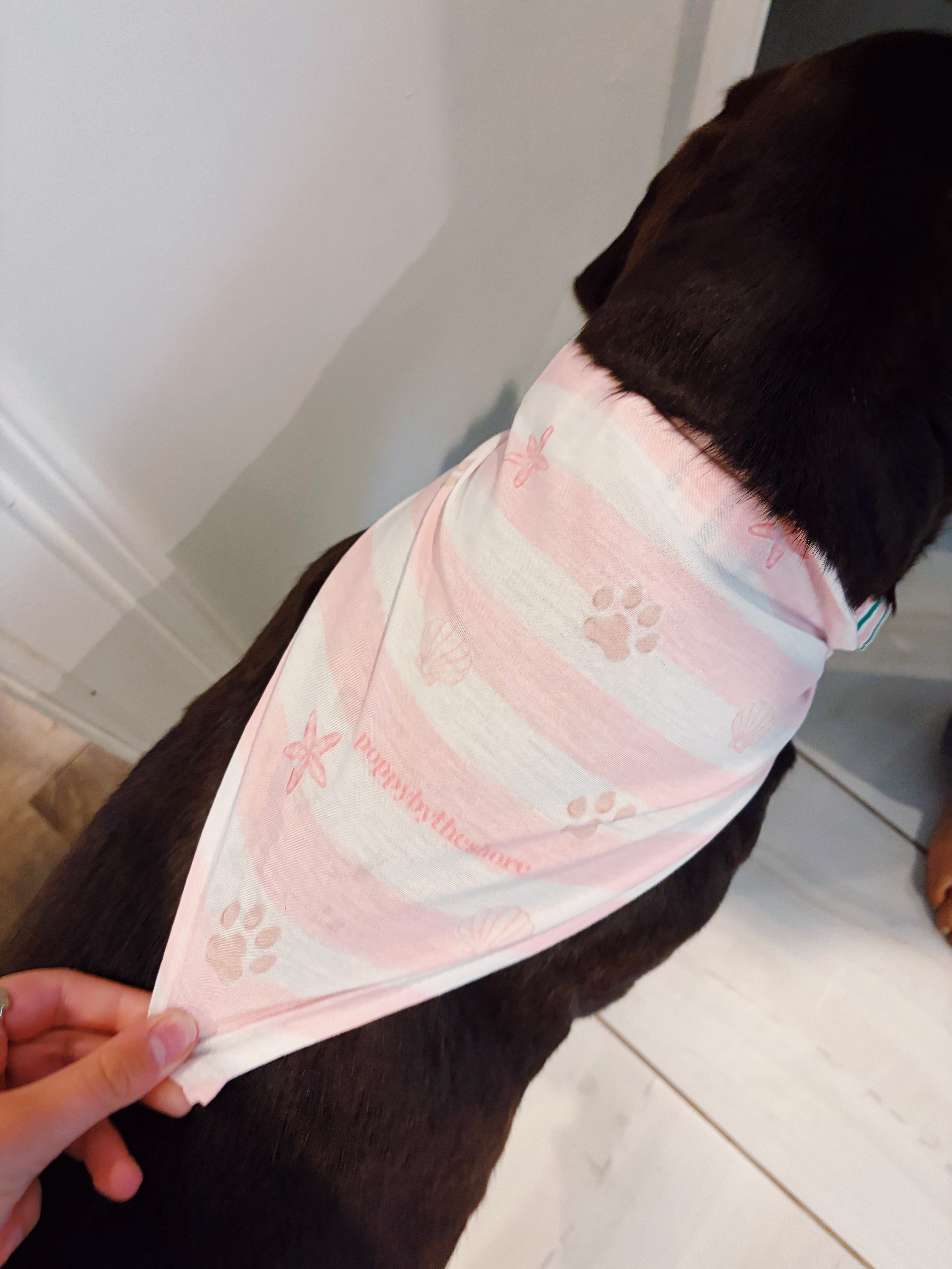 Poppy Paws & Stripes Bandana - Pink