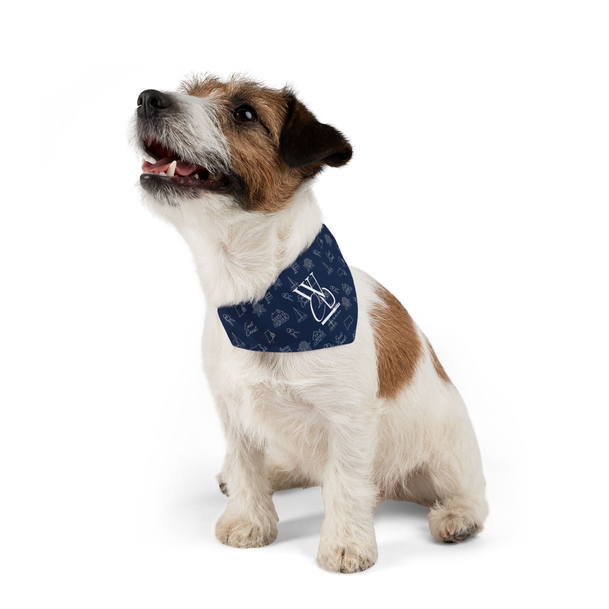 The Top Dog Bandana