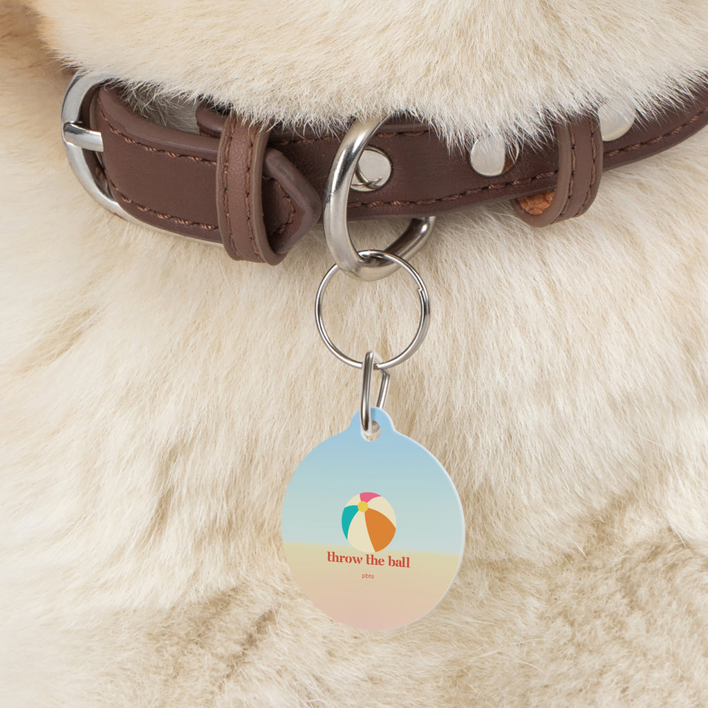 Beach Ball Pet Tag
