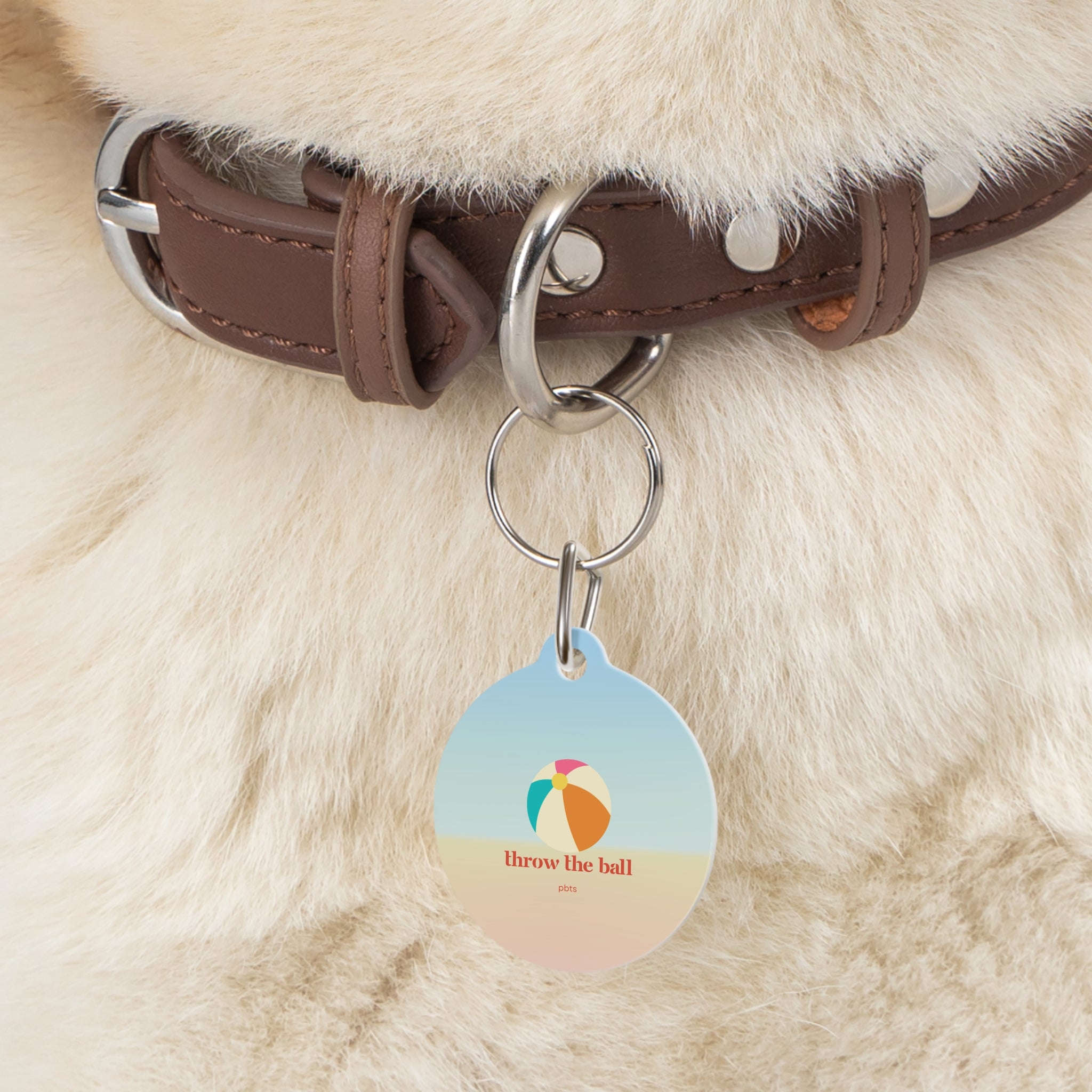 Beach Ball Pet Tag