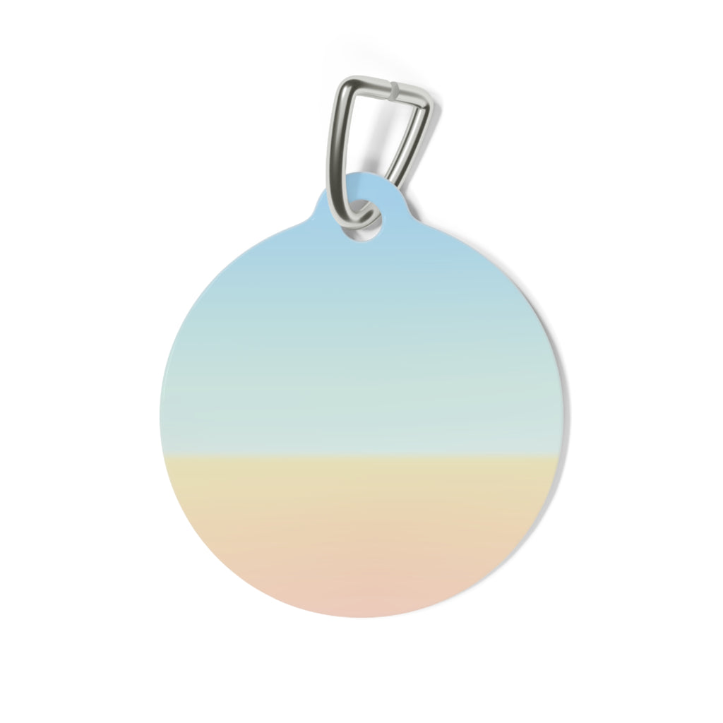 Beach Ball Pet Tag