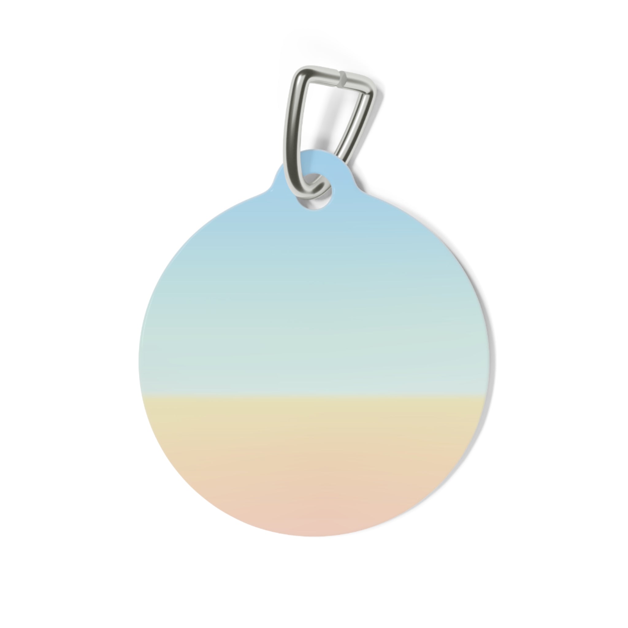Beach Ball Pet Tag