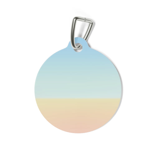 Beach Ball Pet Tag
