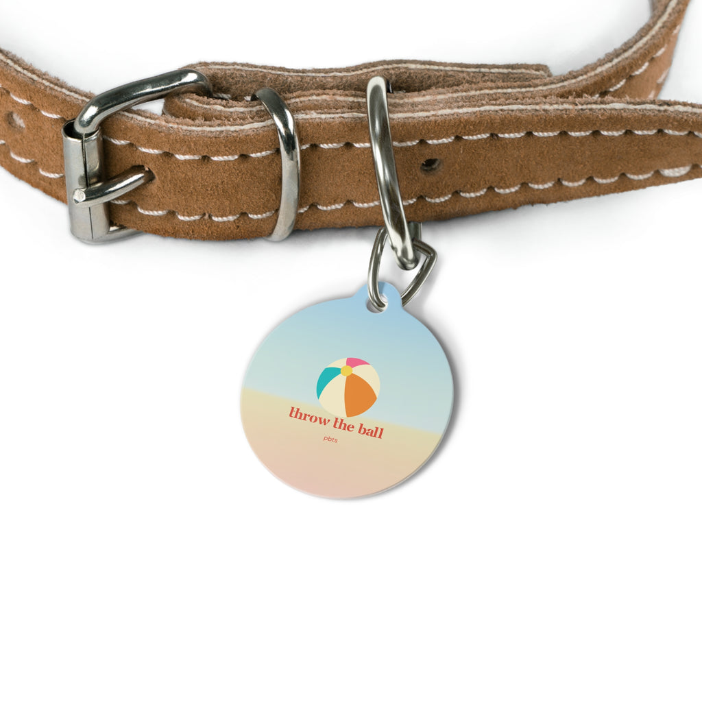 Beach Ball Pet Tag