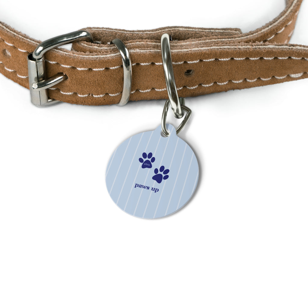 Paws Up Pet Tag
