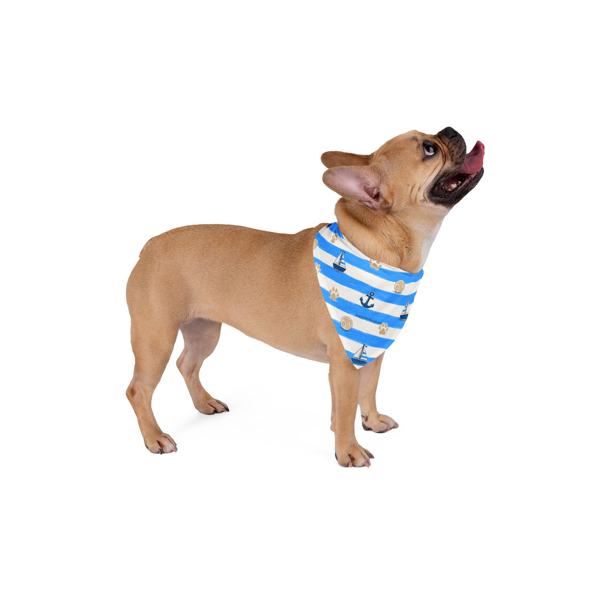 Paws & Stripes Pet Bandana - Blue