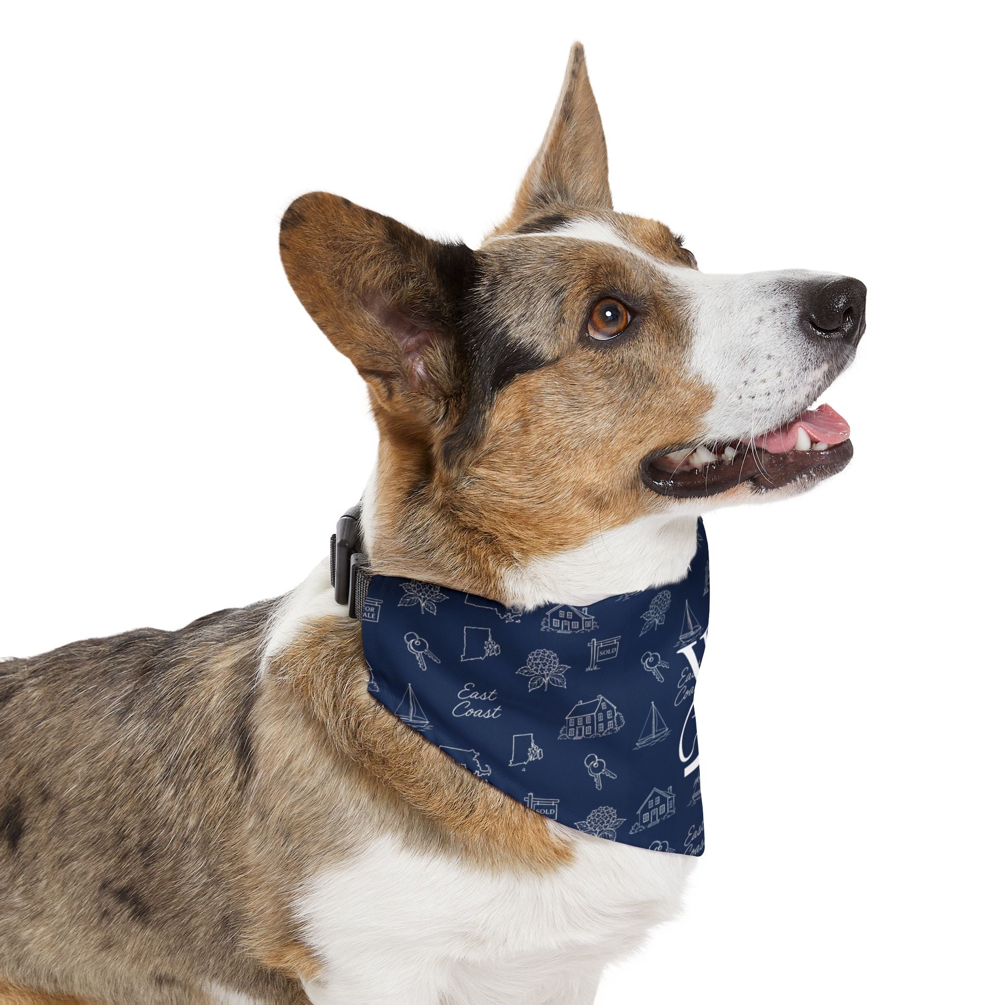 The Top Dog Bandana