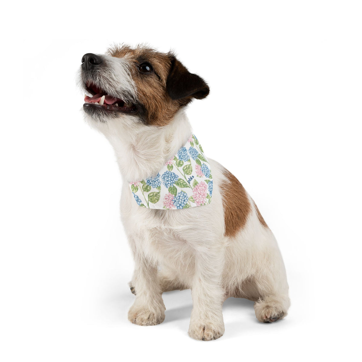 Hydrangea Pet Bandana Collar