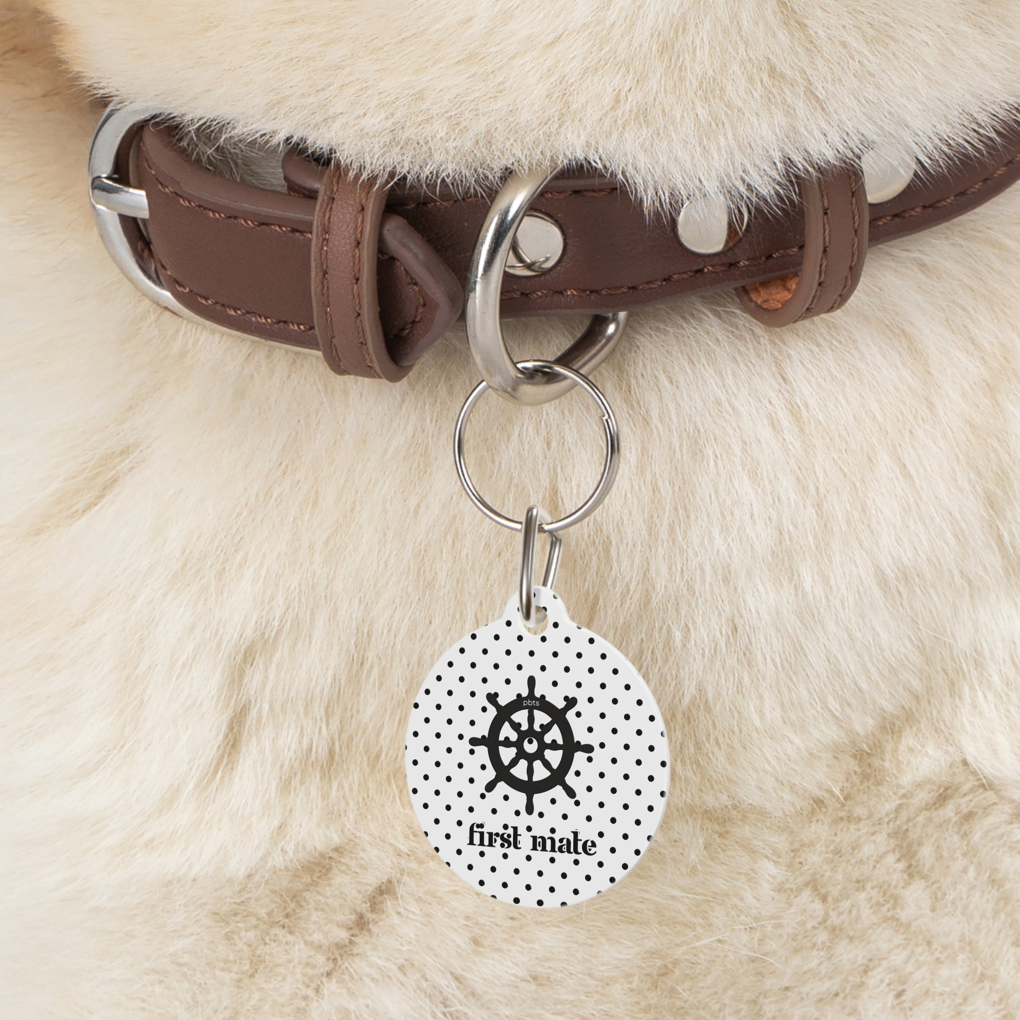 First Mate Polka Dot Pet Tag