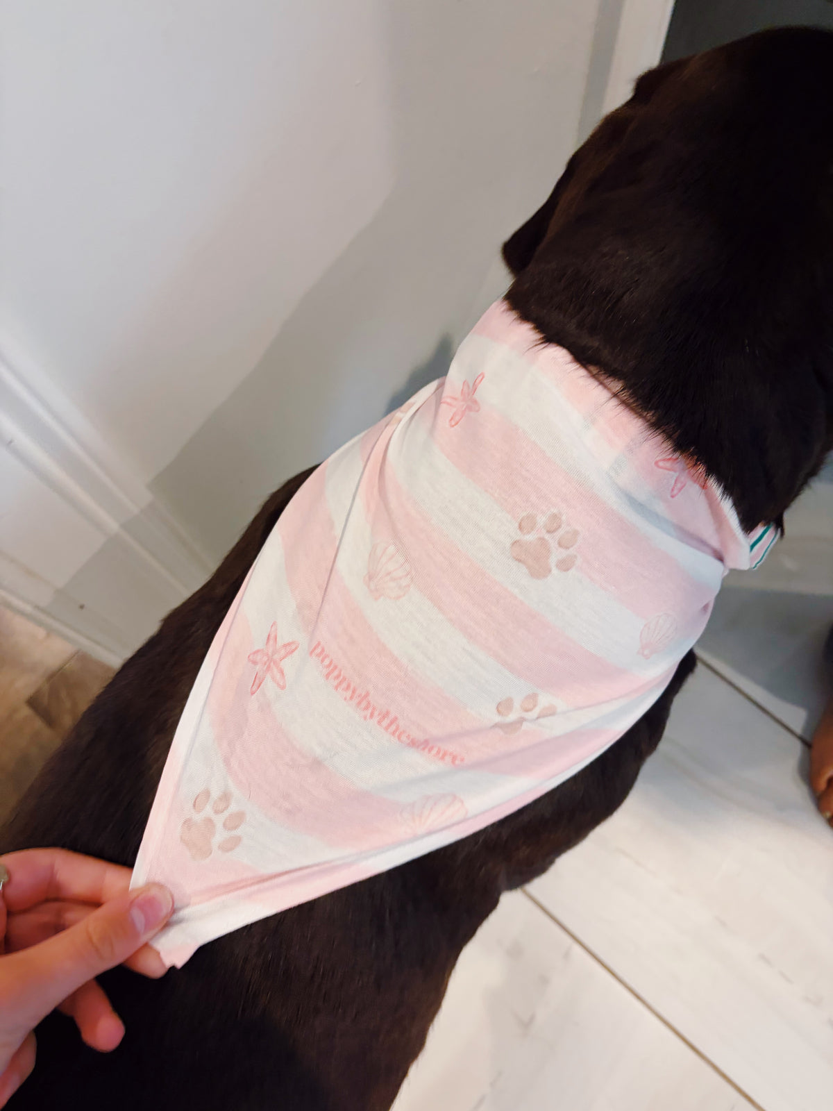 Poppy Paws & Stripes Bandana - Pink